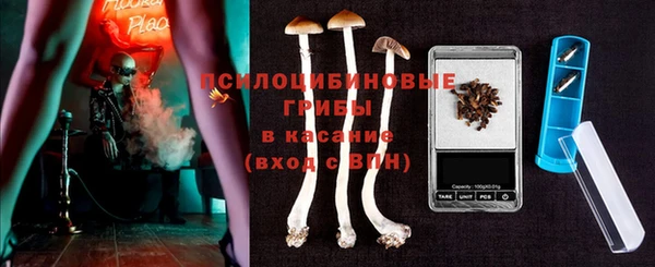 спайс Кострома