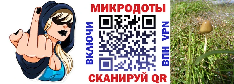 Псилоцибиновые грибы мицелий  где купить   Шахунья 