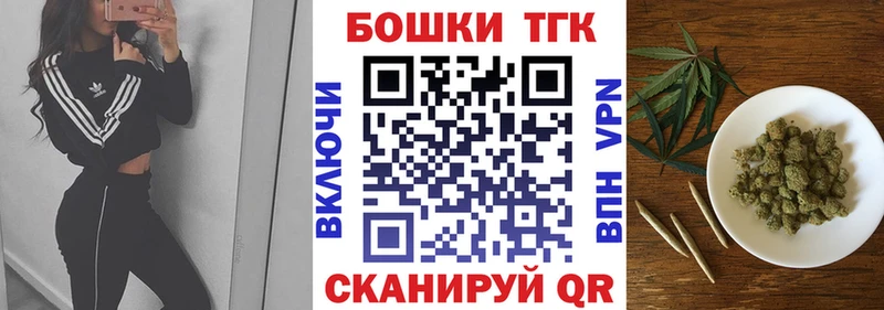 закладка Шахунья МЕГА tor Каннабис индика